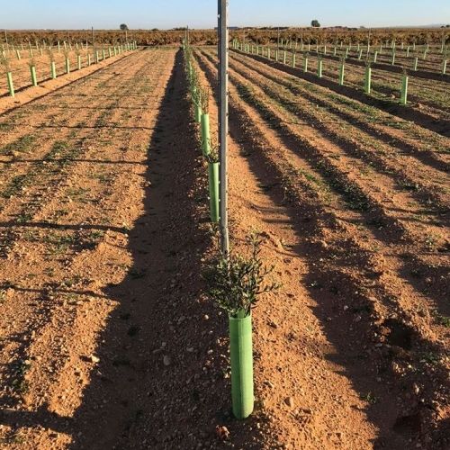 Entubado pozos Ciudad Real